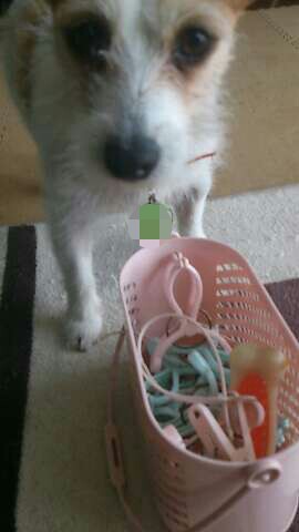 picsay-1365002932.jpg