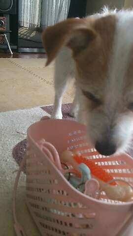 rps20130404_002532.jpg