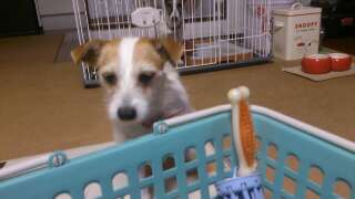 rps20130404_003103_639.jpg