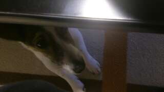 rps20130405_002934.jpg
