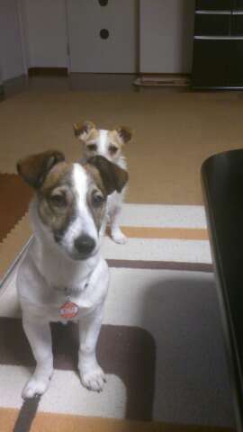 rps20130405_003002_592.jpg
