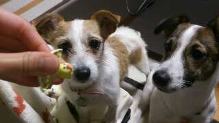 rps20130411_231259_286.jpg