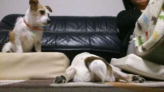 rps20130411_233645_606.jpg