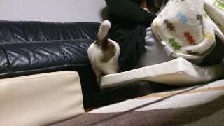 rps20130411_233733_417.jpg