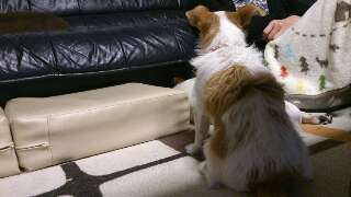 rps20130411_233753_709.jpg