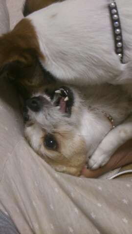 rps20130414_205925.jpg