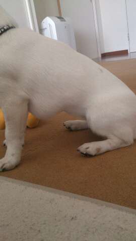 rps20130414_210634_825.jpg