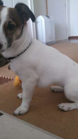 rps20130414_210707_865.jpg