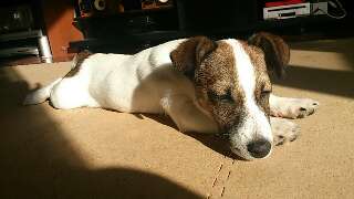 rps20130416_234340.jpg