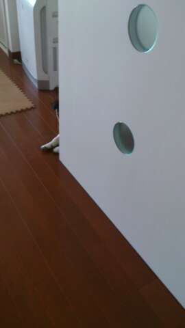 rps20130513_201919_721.jpg