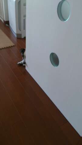 rps20130513_201959_624.jpg