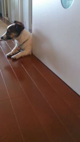 rps20130513_202401.jpg