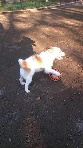 rps20130513_202601_797.jpg
