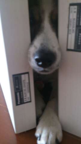 rps20130514_205947_151.jpg