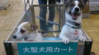 rps20130519_014131.jpg