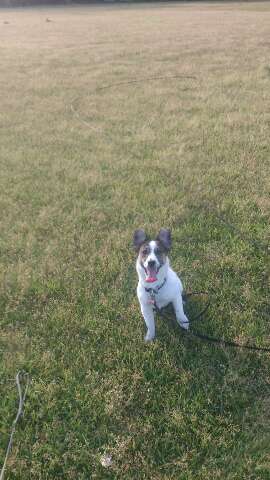 rps20130519_014816.jpg