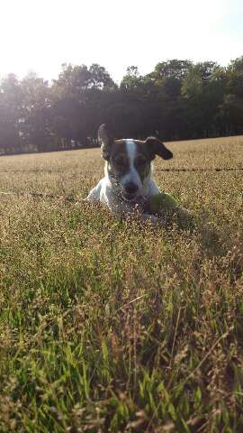 rps20130519_015036_238.jpg