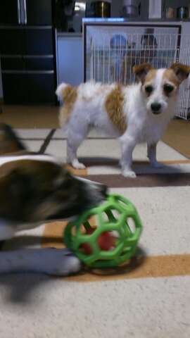 rps20130519_213041_158.jpg