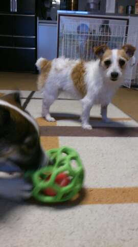 rps20130519_213059_070.jpg
