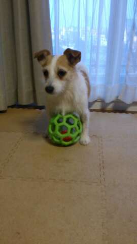 rps20130519_213137_336.jpg