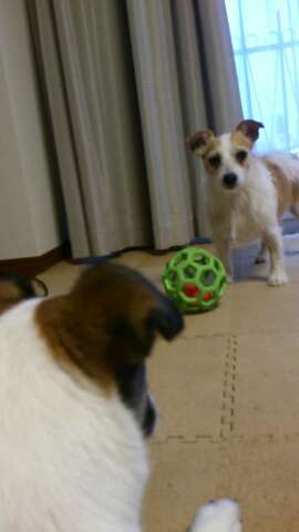 rps20130519_213227_557.jpg