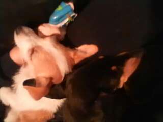 rps20130522_001940_074.jpg