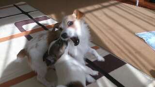rps20130526_221048.jpg