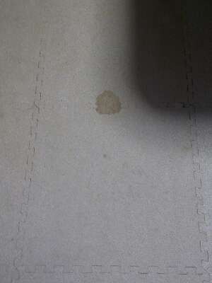 rps20130526_221913_730.jpg