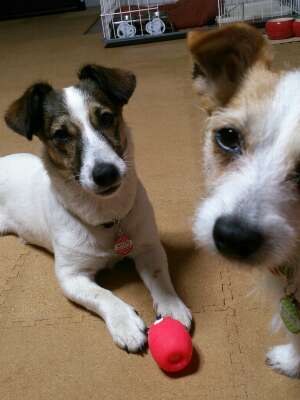 rps20130526_222350_407.jpg
