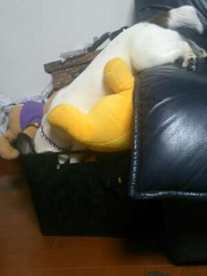 rps20130601_005014.jpg