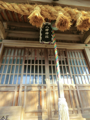 魚瀬3