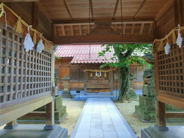 野波3