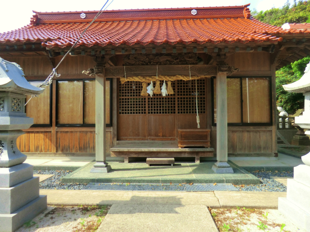 小波2