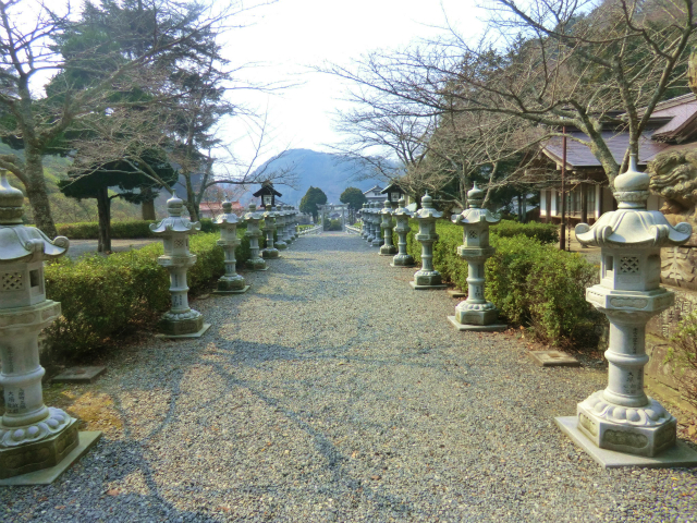 25030627.jpg
