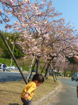 2504186.jpg