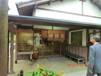 2504203.jpg