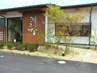2505016.jpg