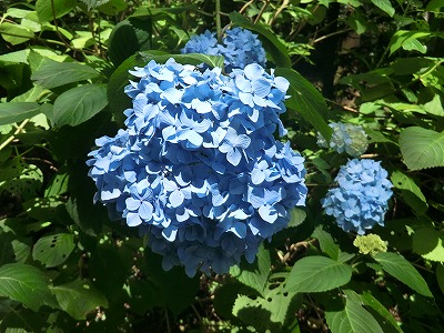 2506286.jpg