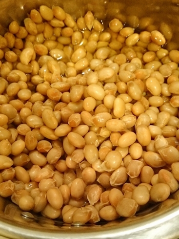 大豆5