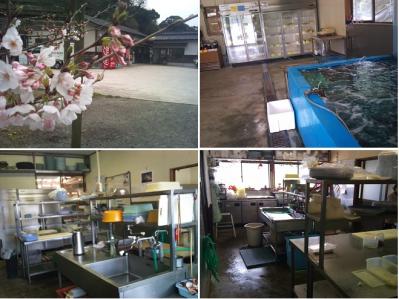 魚屋 (3)