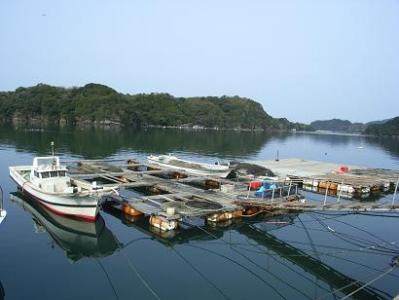 魚屋写真