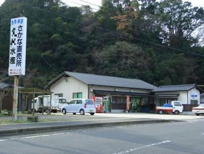 魚屋写真 (1)