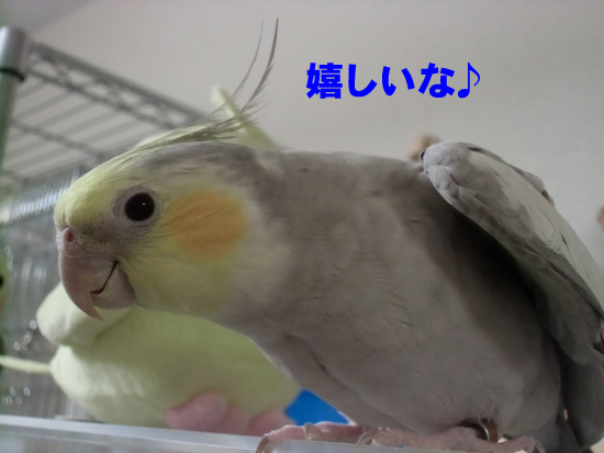 嬉しいね