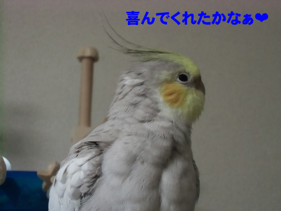 えぇっ