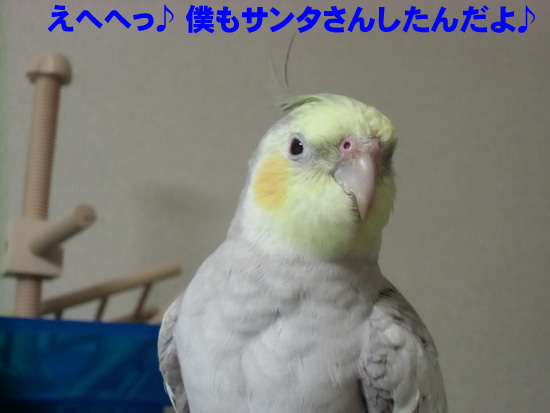 サンタさん