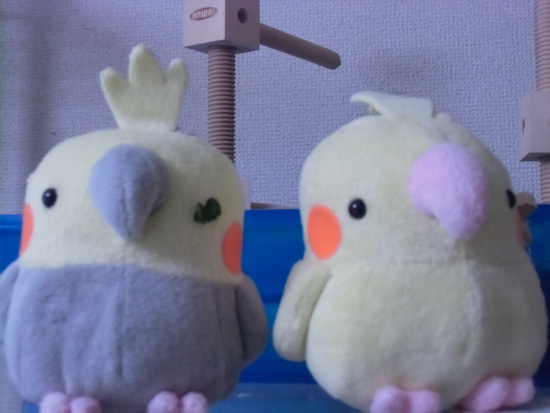 プレゼント
