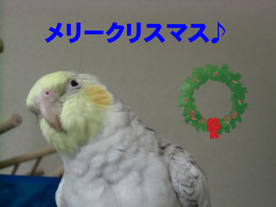 メリークリスマス