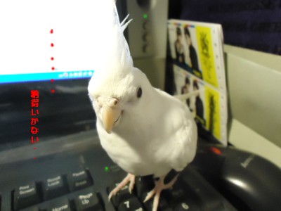 画像 535