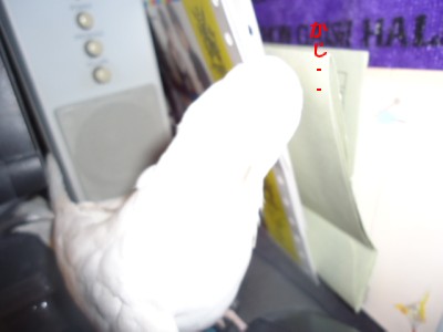 画像 538