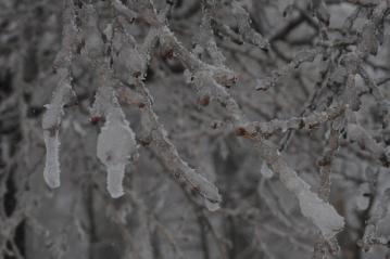 20120311-06.jpg